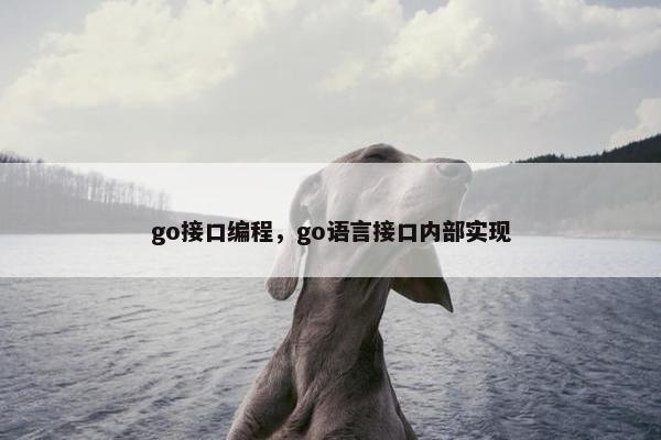 go接口编程，go语言接口内部实现