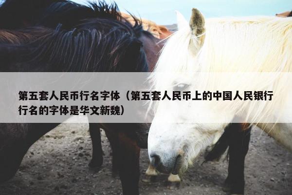 第五套人民币行名字体（第五套人民币上的中国人民银行行名的字体是华文新魏）