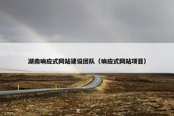 湖南响应式网站建设团队（响应式网站项目）