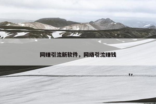 网赚引流新软件，网络引流赚钱