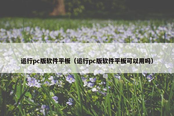 运行pc版软件平板（运行pc版软件平板可以用吗）