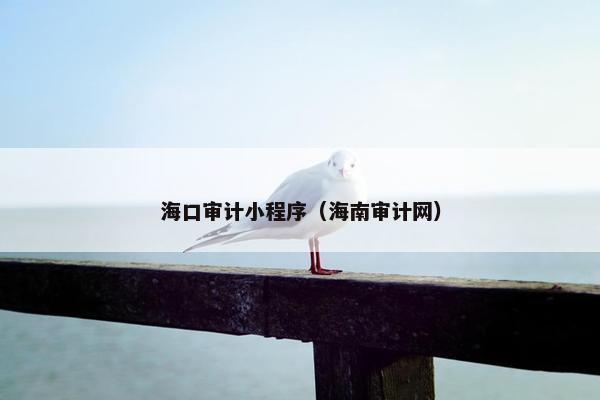 海口审计小程序（海南审计网）