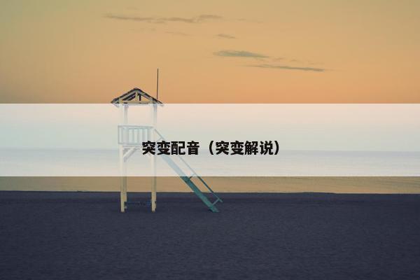 突变配音（突变解说）