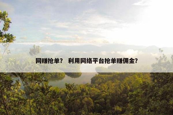 网赚抢单？ 利用网络平台抢单赚佣金？