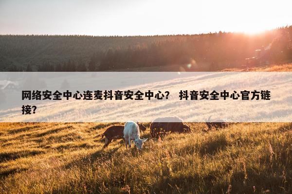 网络安全中心连麦抖音安全中心？ 抖音安全中心官方链接？