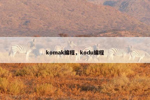 komak编程，kodu编程