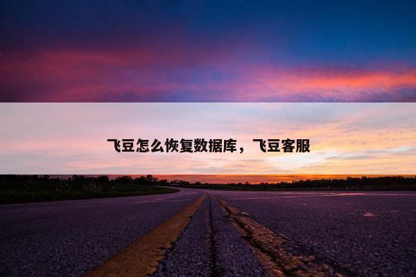 飞豆怎么恢复数据库，飞豆客服