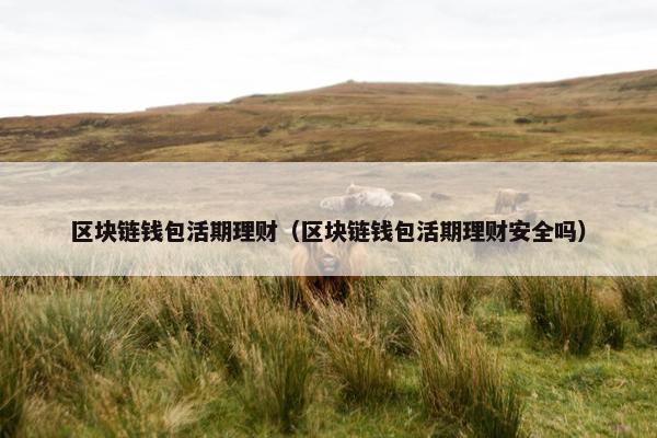 区块链钱包活期理财（区块链钱包活期理财安全吗）