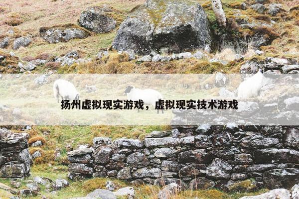 扬州虚拟现实游戏，虚拟现实技术游戏