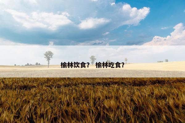 榆林饮食？ 榆林吃食？