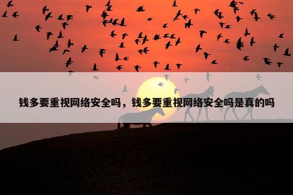 钱多要重视网络安全吗，钱多要重视网络安全吗是真的吗