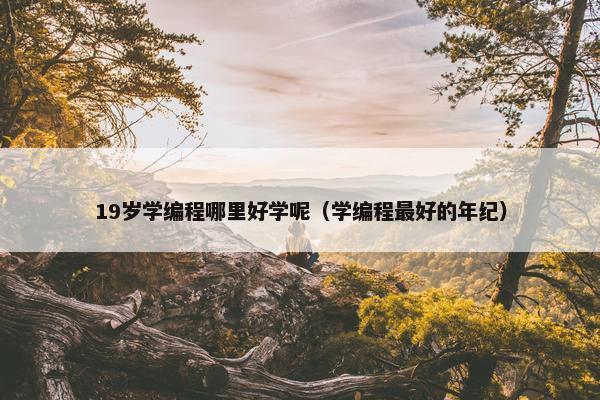 19岁学编程哪里好学呢（学编程最好的年纪）