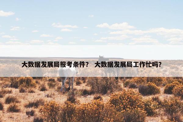大数据发展局报考条件？ 大数据发展局工作忙吗？