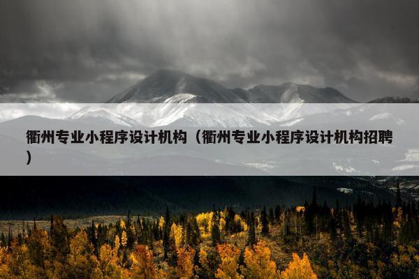 衢州专业小程序设计机构（衢州专业小程序设计机构招聘）