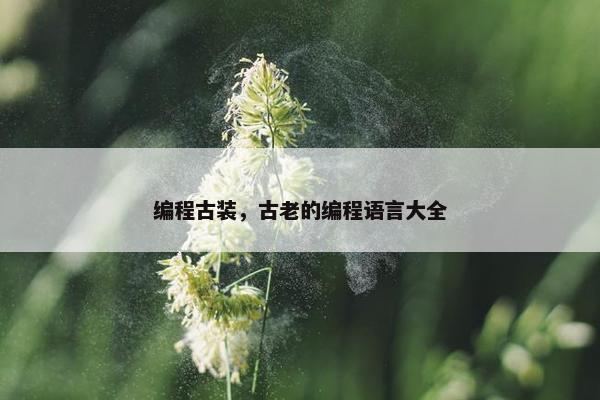 编程古装，古老的编程语言大全
