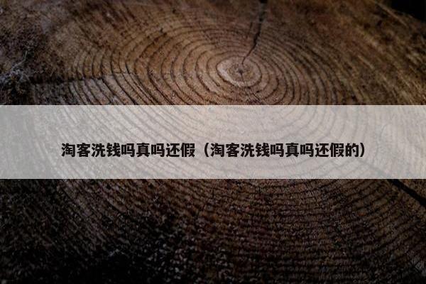 淘客洗钱吗真吗还假（淘客洗钱吗真吗还假的）