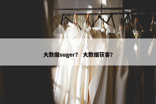 大数据suger？ 大数据获客？