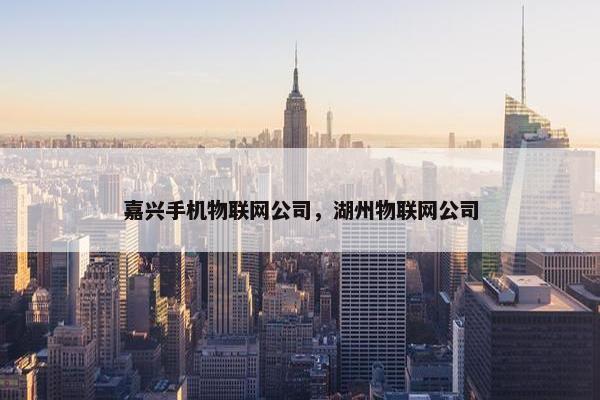 嘉兴手机物联网公司，湖州物联网公司