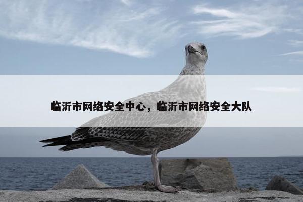 临沂市网络安全中心，临沂市网络安全大队