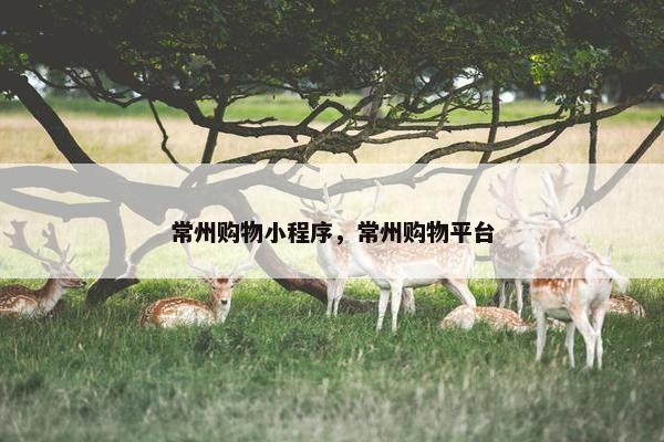 常州购物小程序，常州购物平台