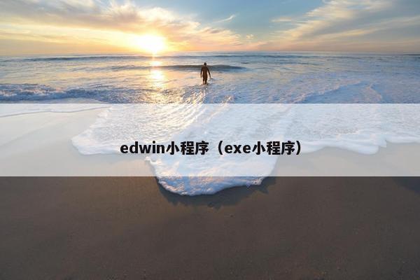 edwin小程序（exe小程序）