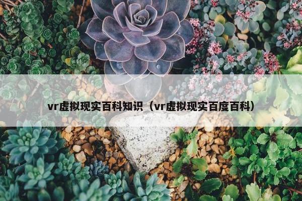 vr虚拟现实百科知识（vr虚拟现实百度百科）