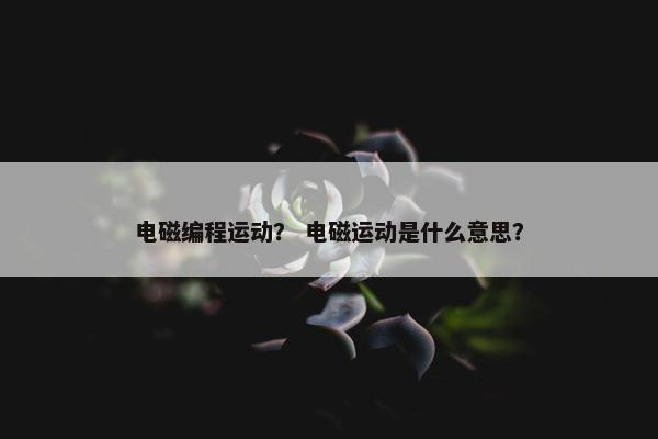 电磁编程运动？ 电磁运动是什么意思？