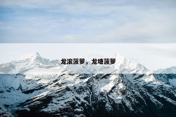 龙滚菠萝，龙塘菠萝