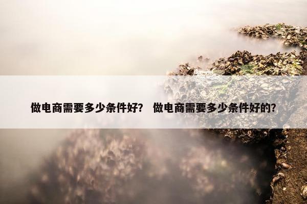 做电商需要多少条件好？ 做电商需要多少条件好的？