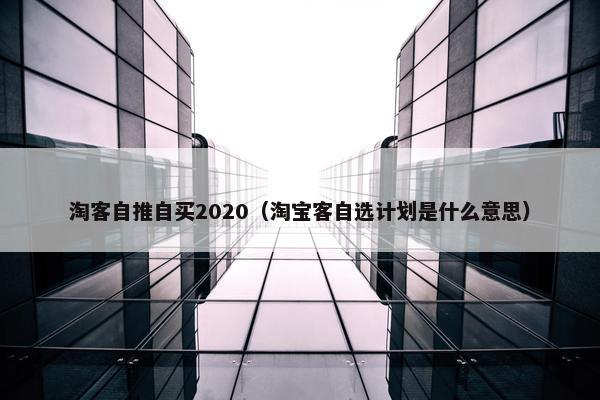 淘客自推自买2020（淘宝客自选计划是什么意思）