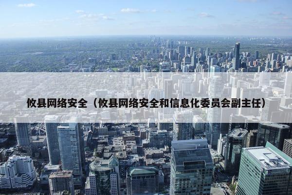 攸县网络安全（攸县网络安全和信息化委员会副主任）