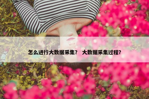 怎么进行大数据采集？ 大数据采集过程？