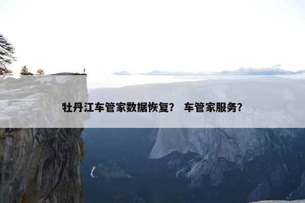 牡丹江车管家数据恢复？ 车管家服务？