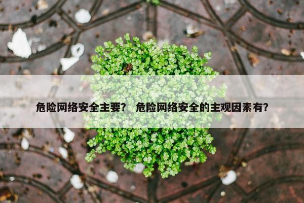 危险网络安全主要？ 危险网络安全的主观因素有？
