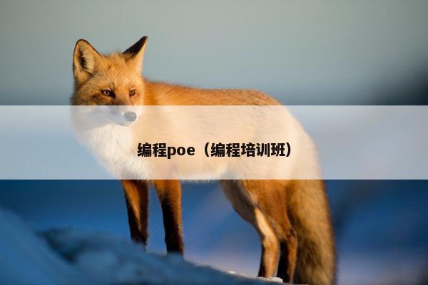 编程poe（编程培训班）
