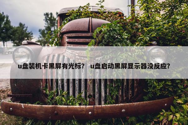 u盘装机卡黑屏有光标？ u盘启动黑屏显示器没反应？
