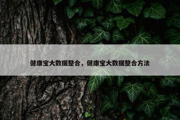 健康宝大数据整合，健康宝大数据整合方法