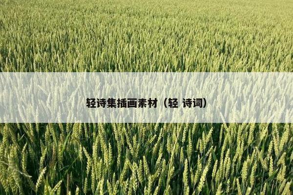 轻诗集插画素材（轻 诗词）