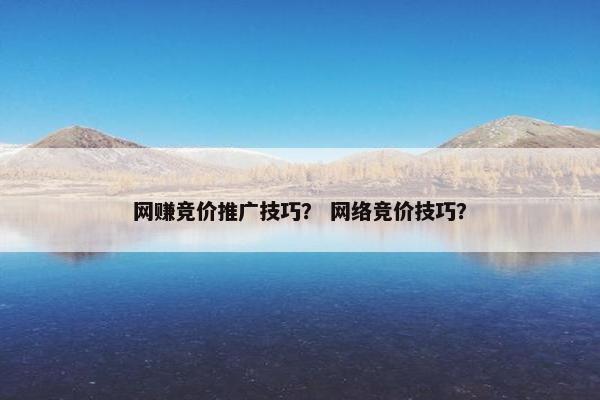 网赚竞价推广技巧？ 网络竞价技巧？