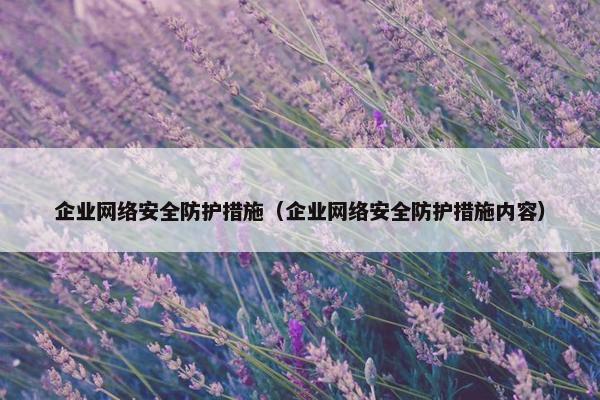 企业网络安全防护措施（企业网络安全防护措施内容）