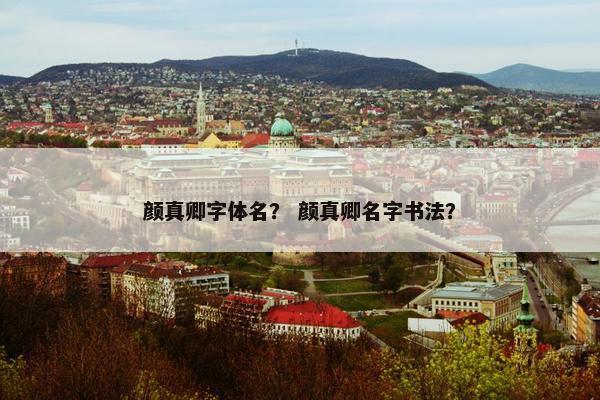 颜真卿字体名？ 颜真卿名字书法？