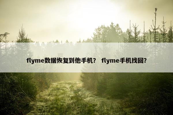 flyme数据恢复到他手机？ flyme手机找回？