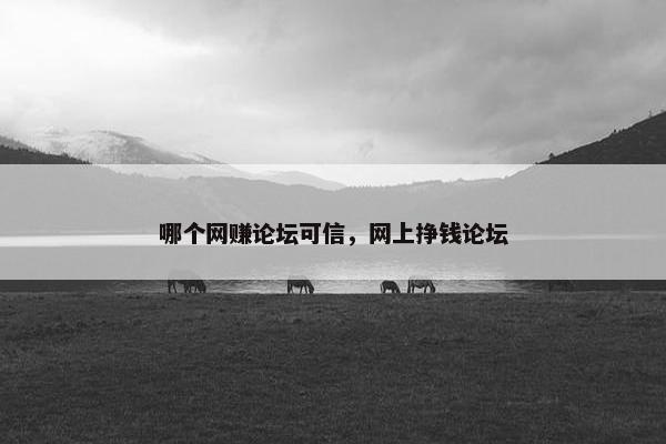 哪个网赚论坛可信，网上挣钱论坛