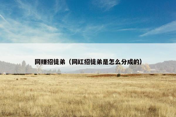 网赚招徒弟（网红招徒弟是怎么分成的）