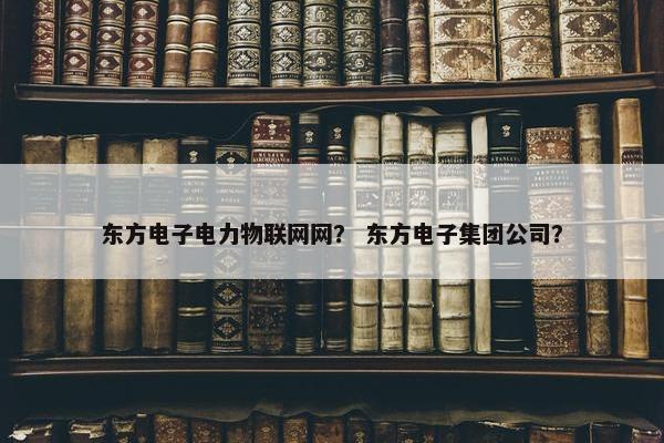 东方电子电力物联网网？ 东方电子集团公司？
