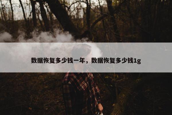 数据恢复多少钱一年，数据恢复多少钱1g