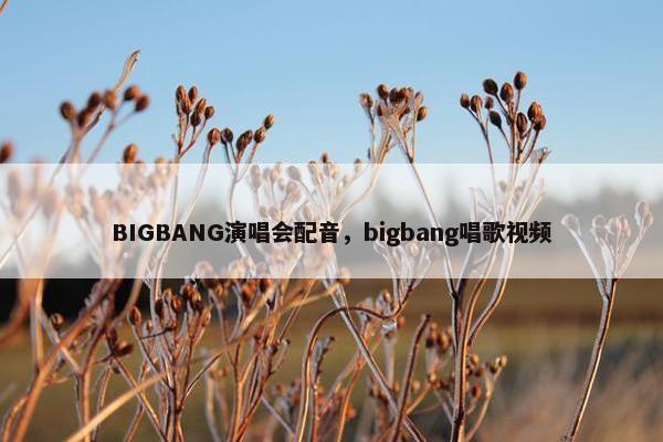 BIGBANG演唱会配音，bigbang唱歌视频