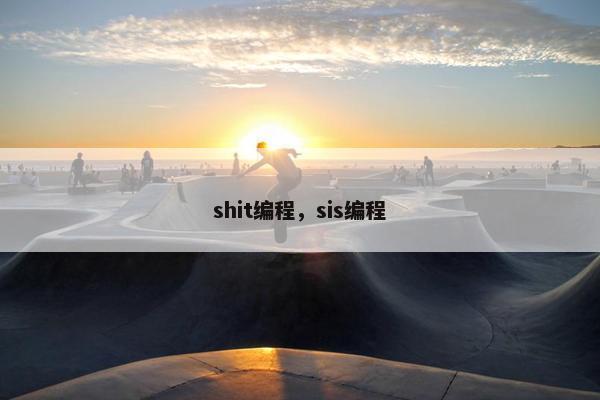 shit编程，sis编程