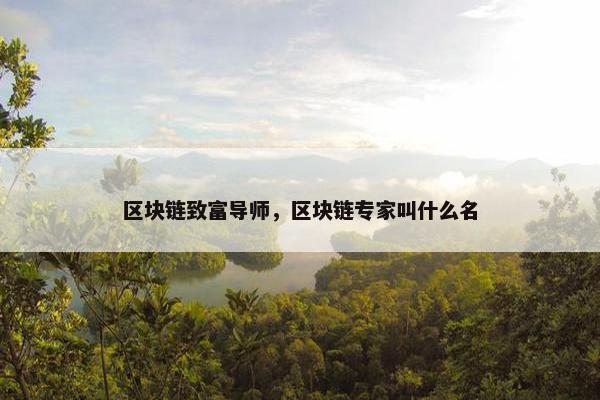 区块链致富导师，区块链专家叫什么名