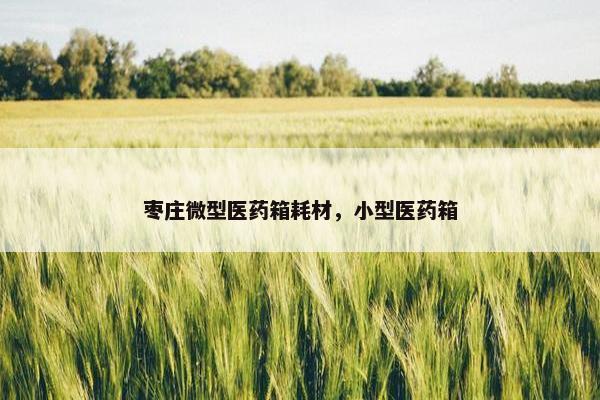 枣庄微型医药箱耗材，小型医药箱